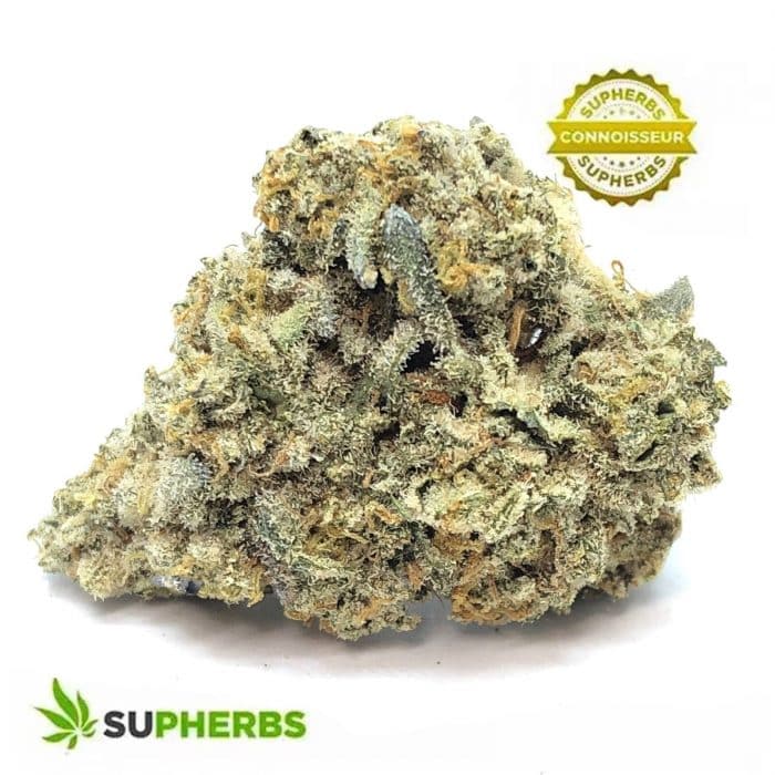 Rain Maker Strain - Supherbs - Canada Weed Delivery