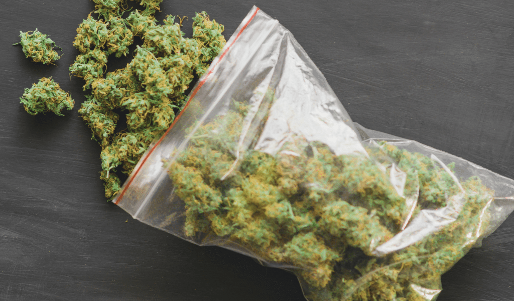 Best Indica Strains