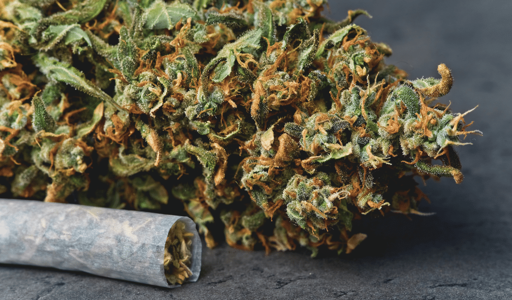 top strains