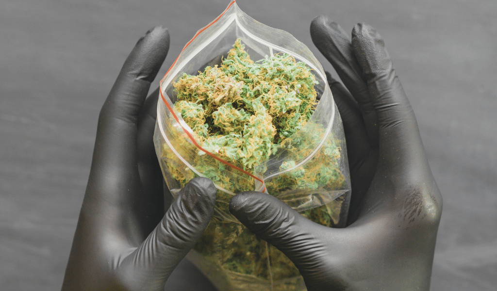 top strains
