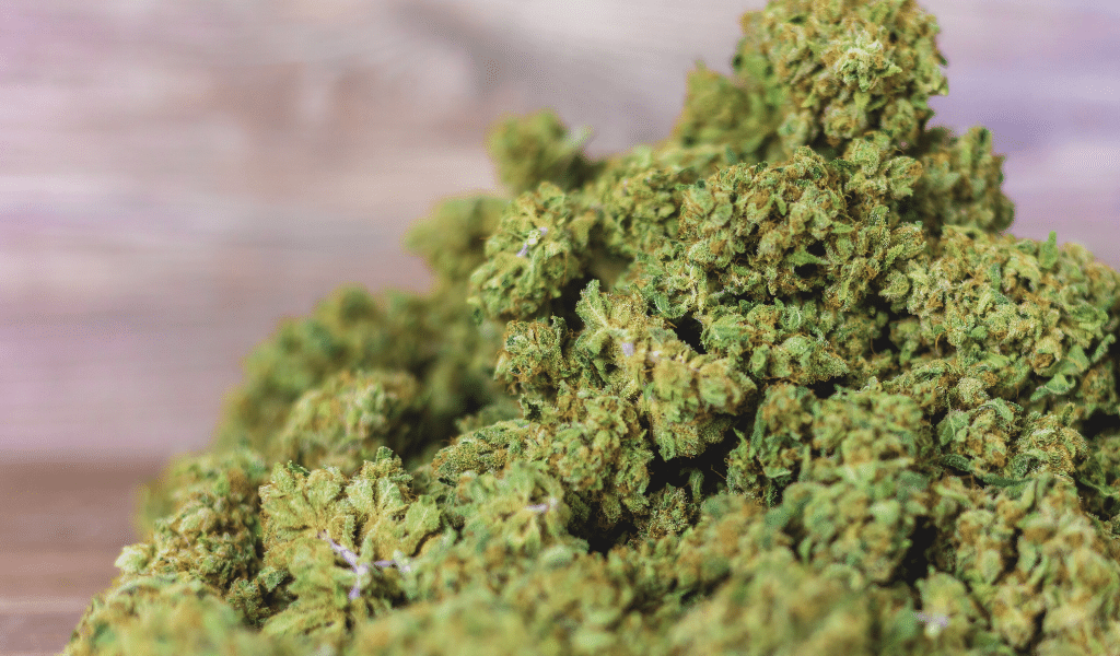 cbd for pain