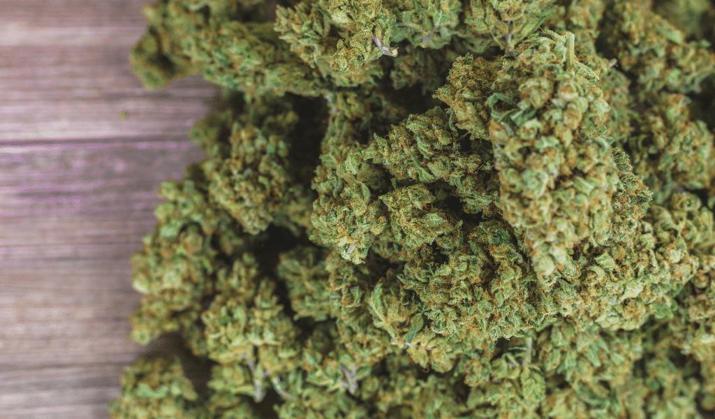 cbd for pain