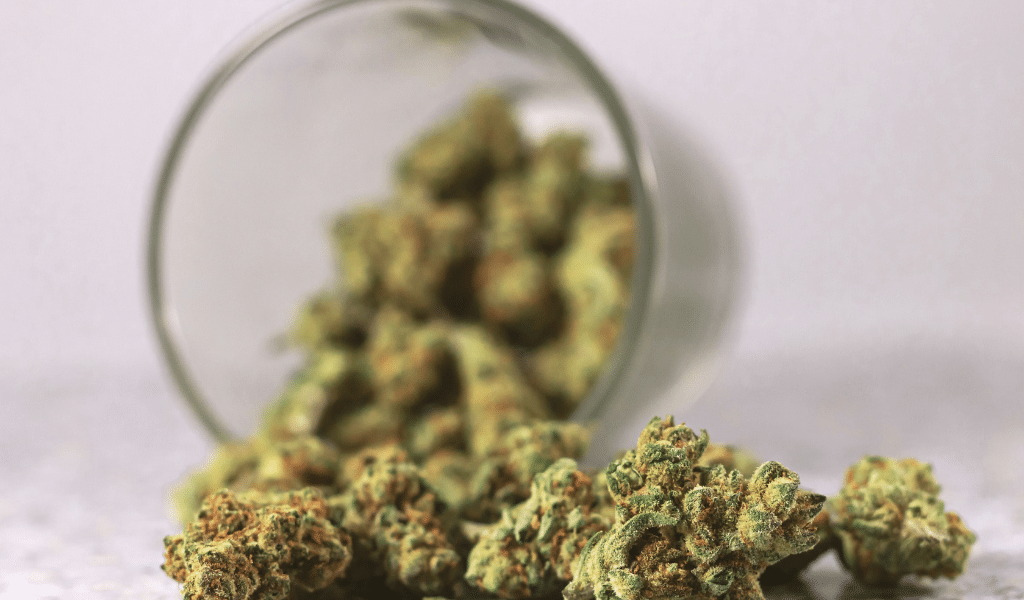 cheap weed