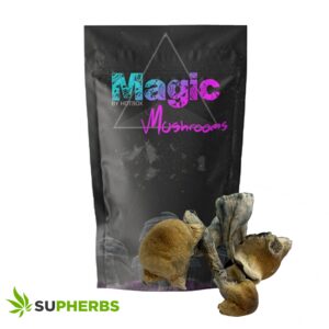 Liberty Caps Magic Mushrooms – Magic Box