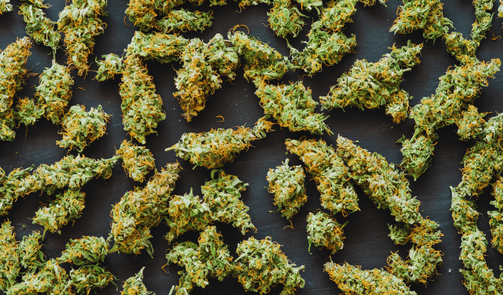 west coast weed