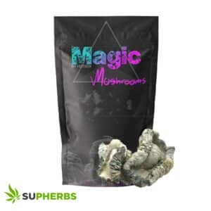 Wombat Magic Mushrooms – Magic Box