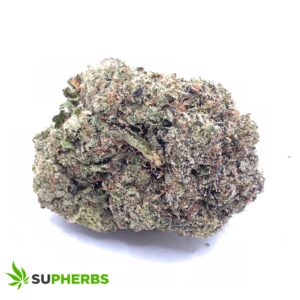 Lindsay OG