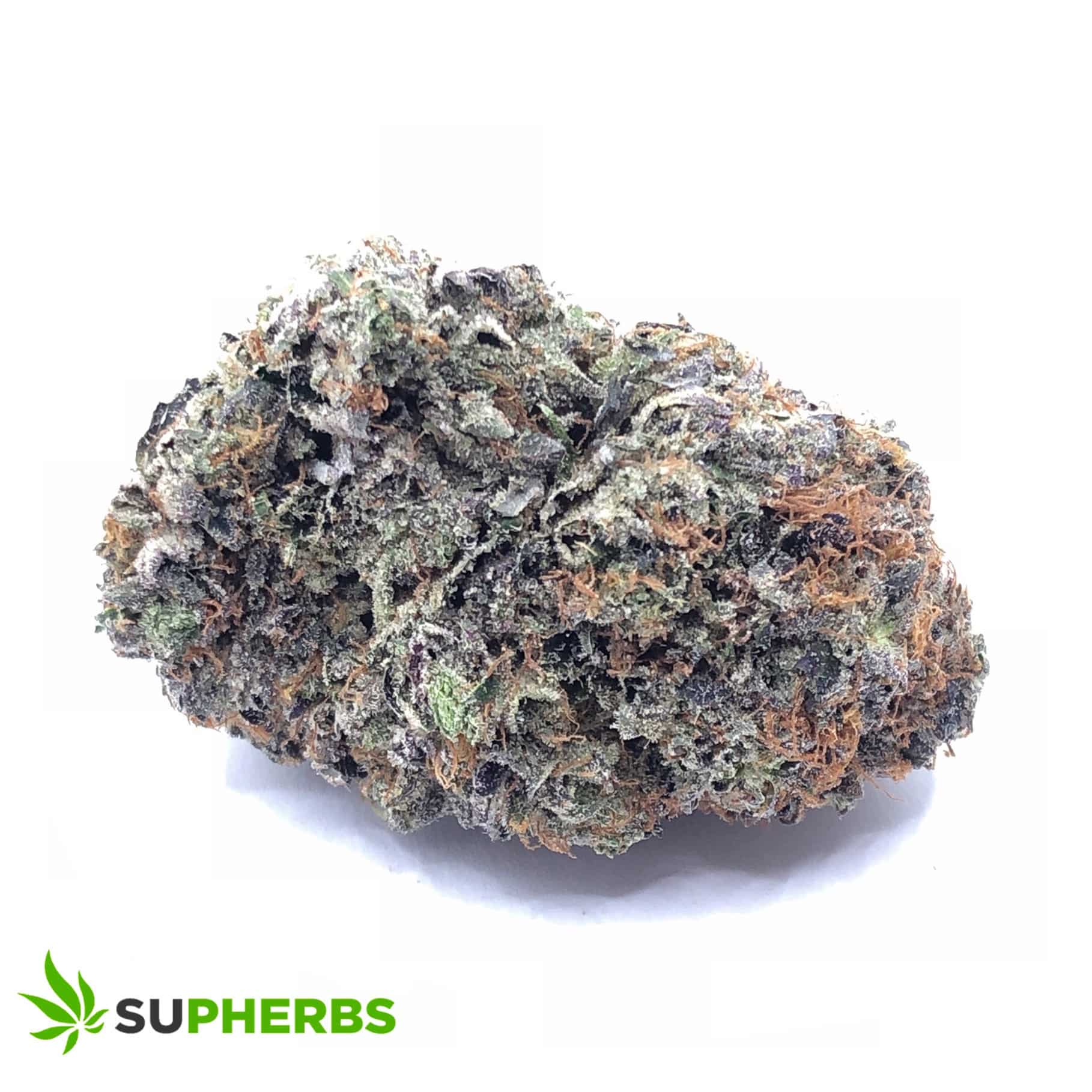 Hindu Kush