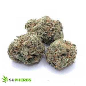 OG Lime Kush (Smalls)