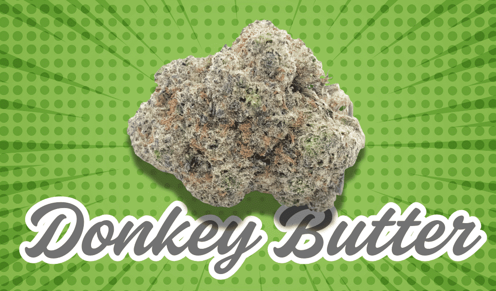 donkey butter strain
