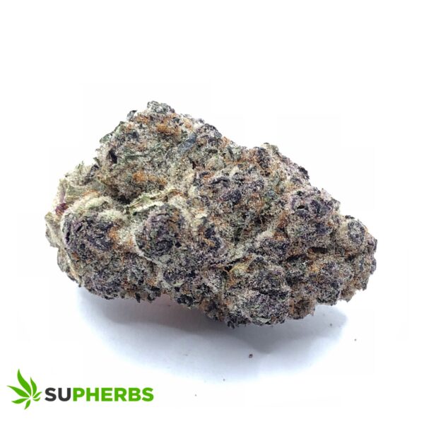Cherry Sherbet