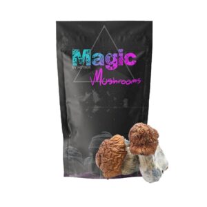 Texas Yellow Cap Magic Mushrooms