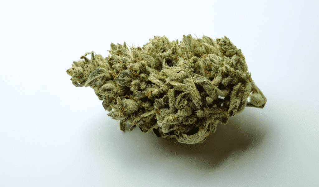 top shelf bc