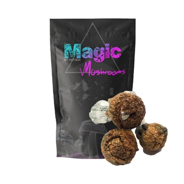 Vietnamese Mushrooms - Magic Box