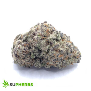 Jungle Fire