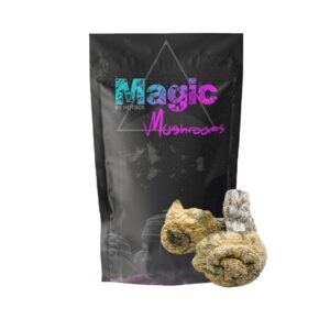 Albino El Dragon Magic Mushrooms