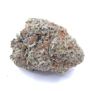 Mendo Fuel