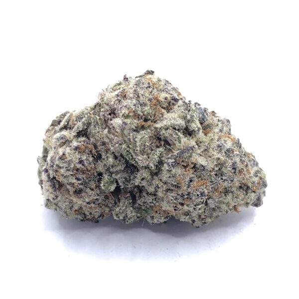 Jungle Fire