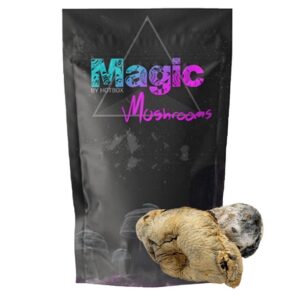 Albino SV13 Magic Mushrooms
