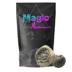 Albino Thai Lipa Yai Magic Mushrooms